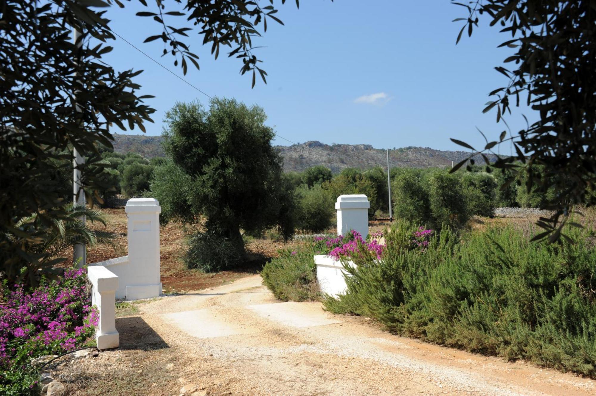 Masseria Lama Di Galizia Ostuni Buitenkant foto