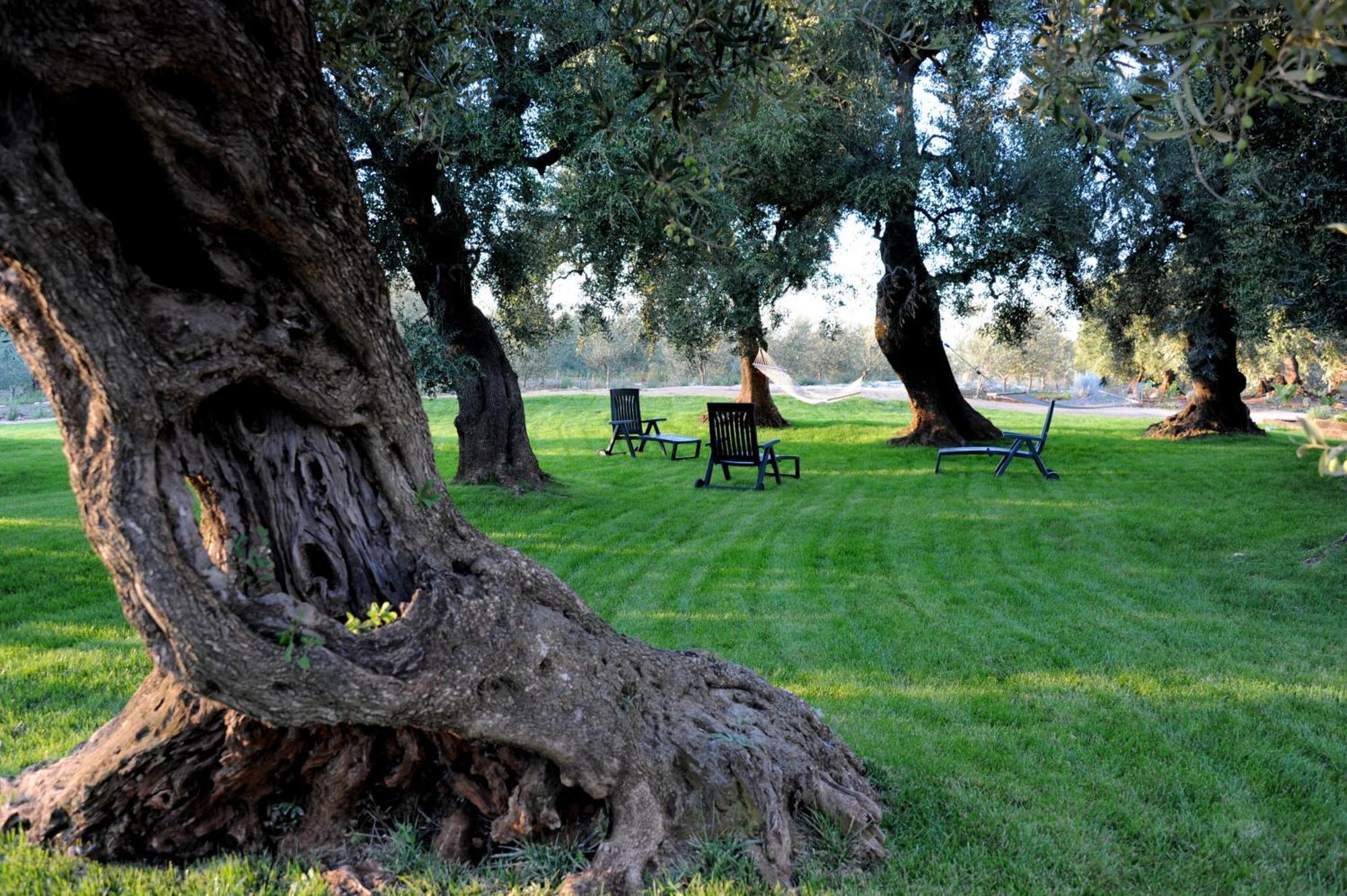 Masseria Lama Di Galizia Ostuni Buitenkant foto