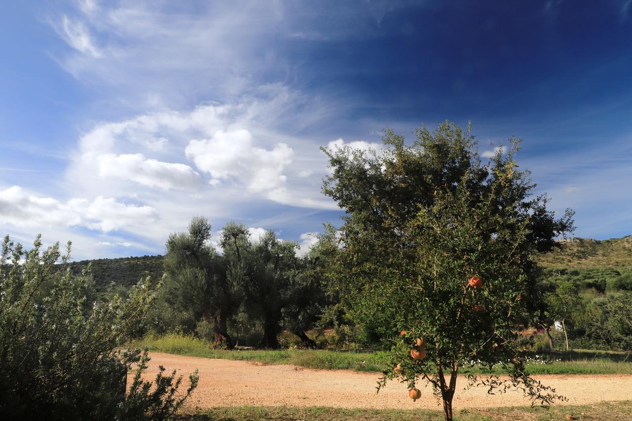 Masseria Lama Di Galizia Ostuni Buitenkant foto
