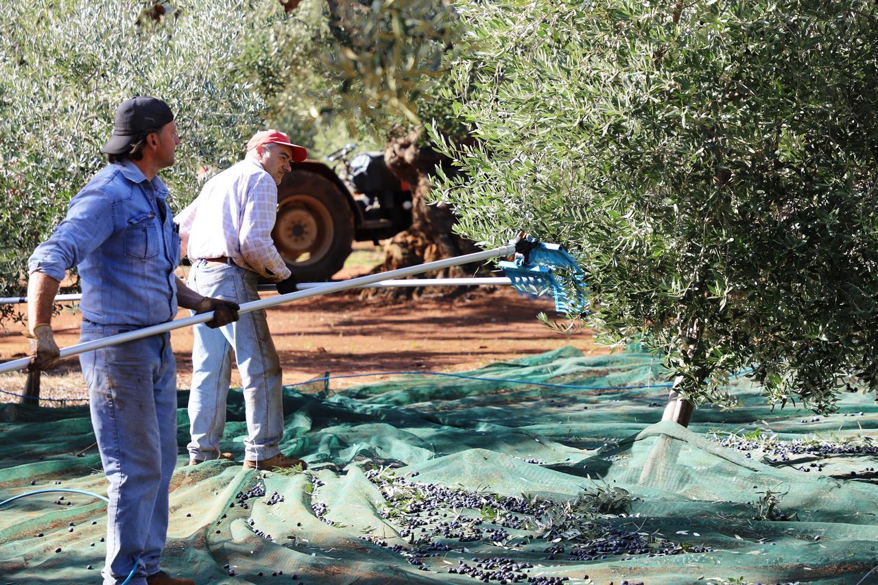 Masseria Lama Di Galizia Ostuni Buitenkant foto